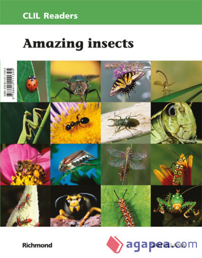 CLIL READERS LEVEL II PRI AMAZING INSECTS