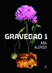 Portada de Gravedad 1