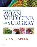 Portada de Current Therapy in Avian Medicine and Surgery - E-Book (Ebook)