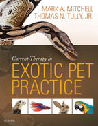 Portada de Current Therapy in Exotic Pet Practice - E-Book (Ebook)