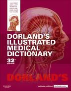 Portada de Dorland's Illustrated Medical Dictionary E-Book (Ebook)