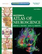 Portada de Netter's Atlas of Neuroscience E-Book (Ebook)