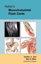 Portada de Netter's Musculoskeletal Flash Cards (Ebook)