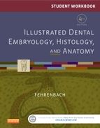 Portada de Student Workbook for Illustrated Dental Embryology, Histology and Anatomy - E-Book (Ebook)