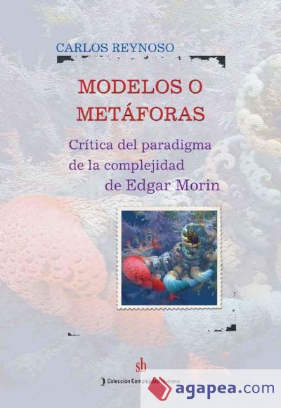 Modelos o met&aacute;foras (Ebook)