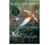 Portada de Aquamarine and Indigo (Two Novels, One Book)