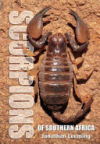 Scorpions of Southern Africa