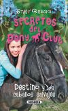 Secretos Del Pony Club. Destino y los caballos salvajes