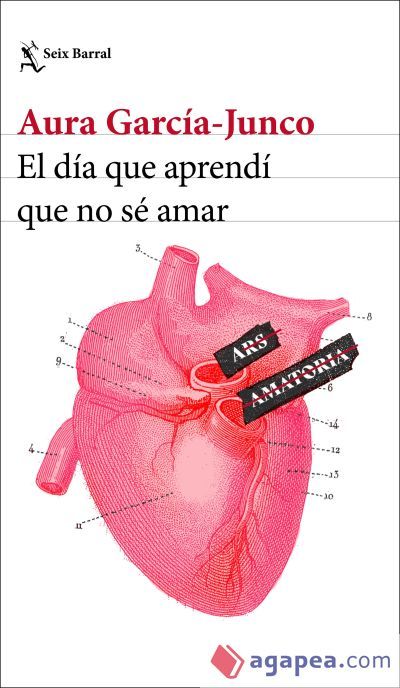 El día que aprendí que no sé amar El día que aprendí que no sé amar