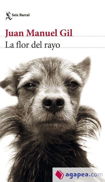 La flor del rayo