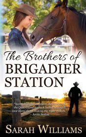 Portada de The Brothers of Brigadier Station