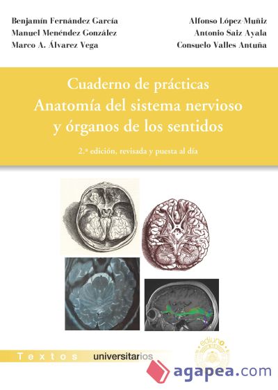 Anatomía del sistema nervioso y órganos de los sentidos