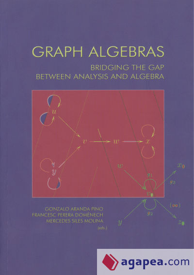 Graph Algebras: bridging the gap between analysis and algebra