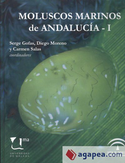Moluscos marinos de Andalucía