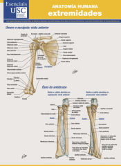 Portada de Anatomía humana