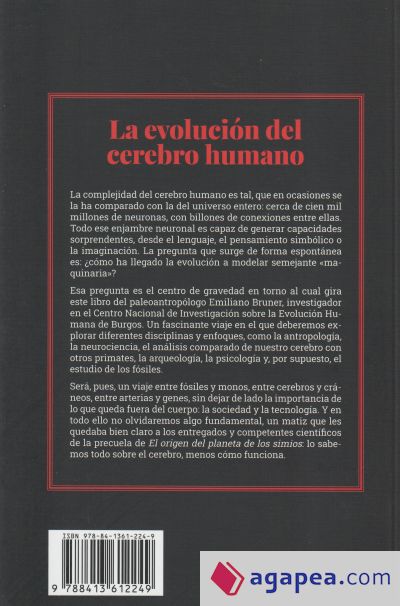 La evolución del cerebro humano