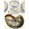 Shells & Corals.