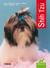 Shih Tzu-animales De Compañía. Shih Tzu