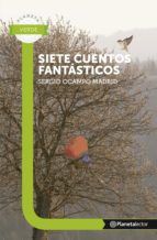 Portada de Siete Cuentos Fantasticos (Ebook)