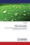 Silica Aerogels