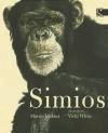 Simios