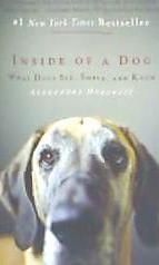 Portada de Inside of a Dog