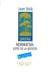 Sintaxi normativa: estat de la qüestió