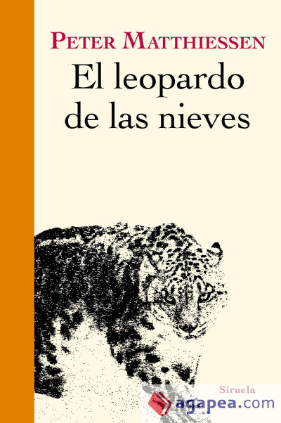 El leopardo de las nieves