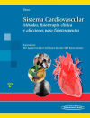 Sistema Cardiovascular: Métodos, fisioterapia clínica y afecciones para fisioter