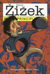 Slavoj Zizek para principiantes