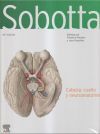 Sobotta. Atlas de anatom&iacute;a humana. Vol 3: Cabeza, cuello y neuroanatom&iacute;a