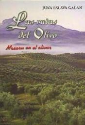 Portada de Las rutas del olivo de Jaén: Masaru en el olivar