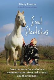 Portada de Soul Sketches