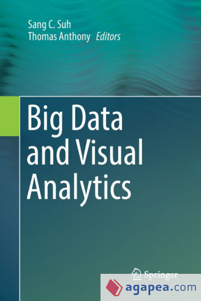 Big Data and Visual Analytics