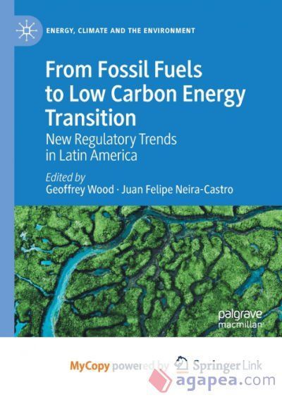 FROM FOSSIL FUELS TO LOW CARBON ENERGY TRANSITION - JUAN FELIPE NEIRA ...