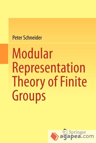 Modular Representation Theory of Finite Groups