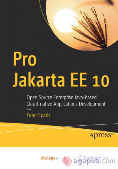 Pro Jakarta EE 10