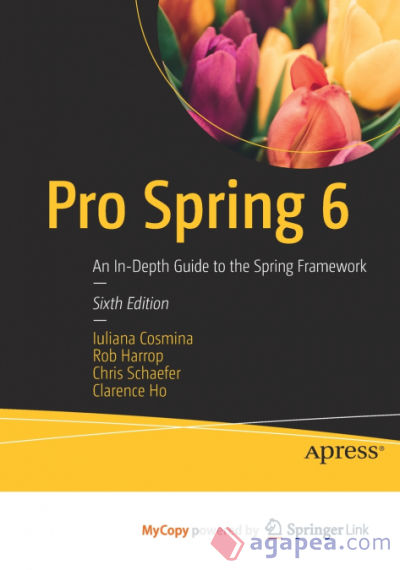 Pro Spring 6