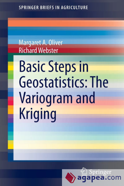 Basic Steps in Geostatistics
