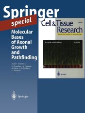 Portada de Molecular Bases of Axonal Growth and Pathfinding