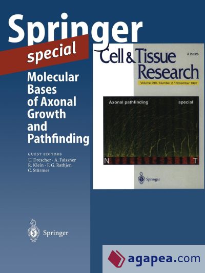 Molecular Bases of Axonal Growth and Pathfinding