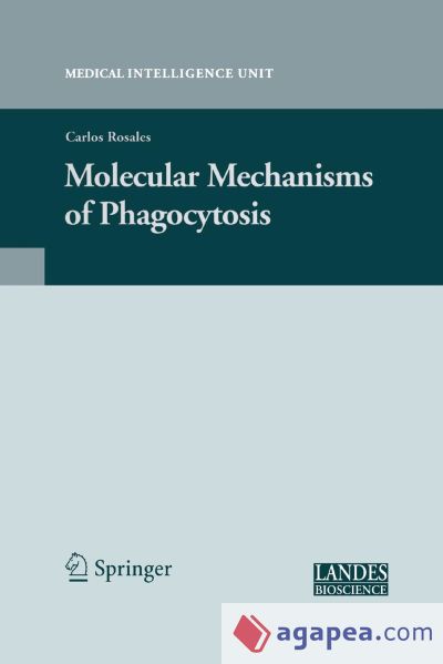 Molecular Mechanisms of Phagocytosis
