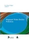 Stagnat water bodies pollution