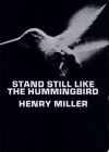 Stand Still Like the Hummingbird