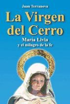 Portada de La virgen del cerro (Ebook)