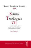 Suma Teológica VII