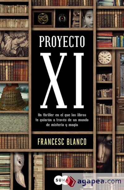 Proyecto XI Proyecto XI