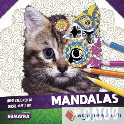 Mandalas de gatos