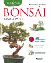 El Abc Del Bonsái Paso A Paso