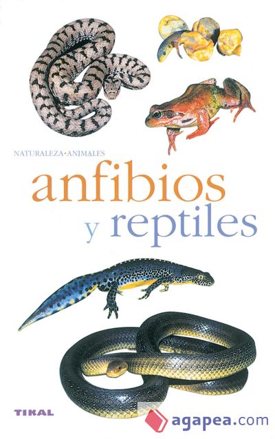 Anfibios y reptiles